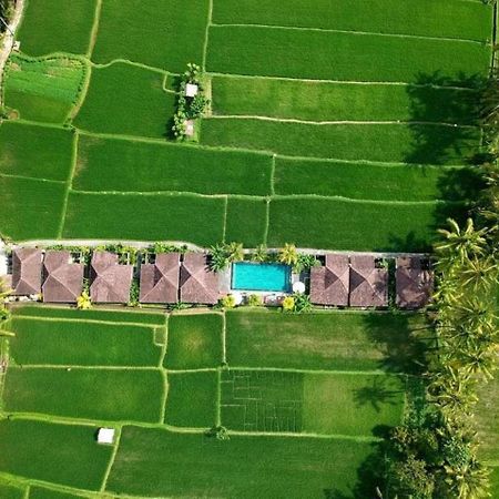 Intan Villa & Suite Ubud Экстерьер фото