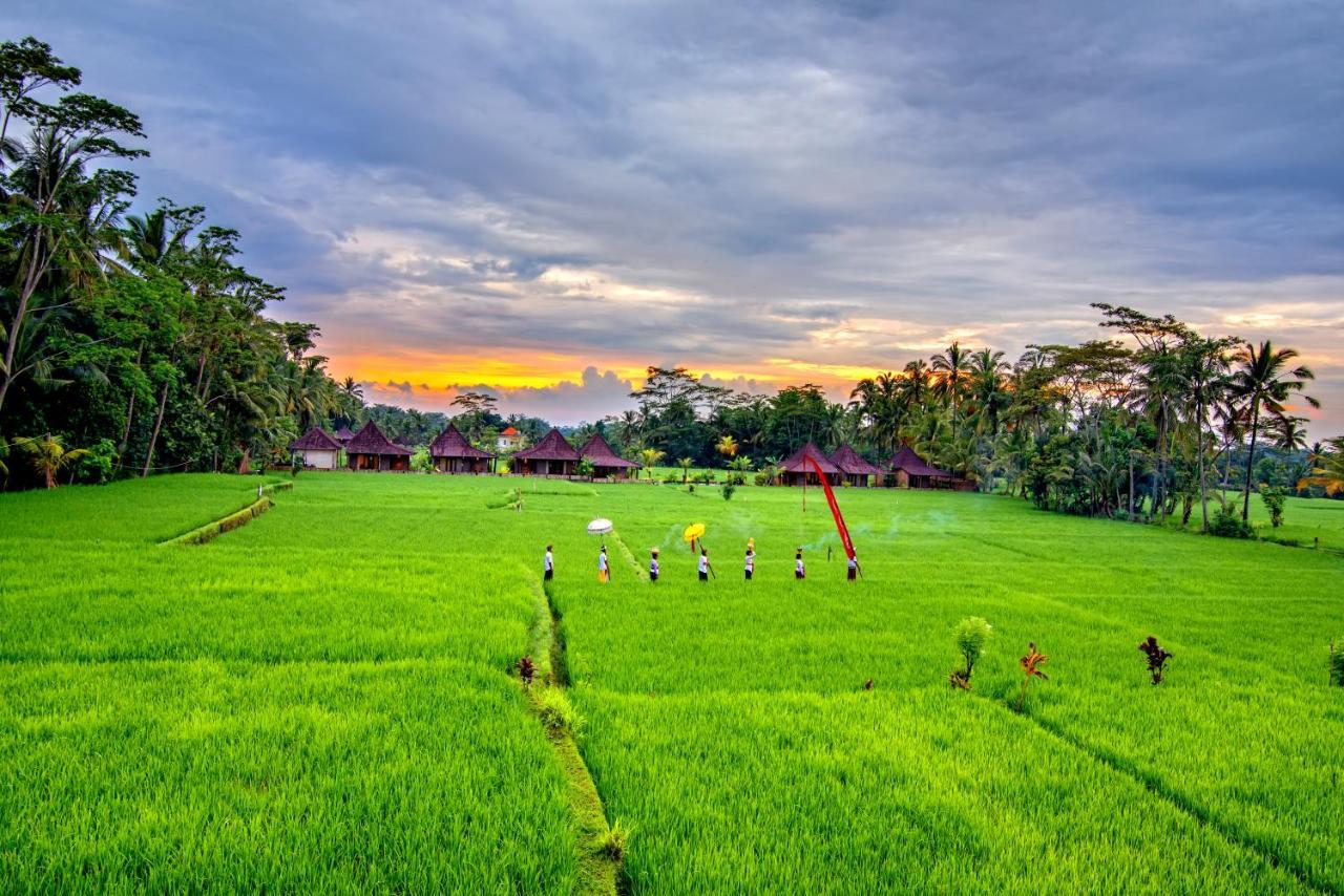 Intan Villa & Suite Ubud Экстерьер фото