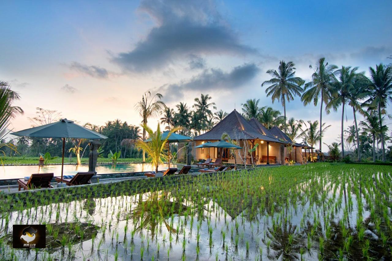 Intan Villa & Suite Ubud Экстерьер фото