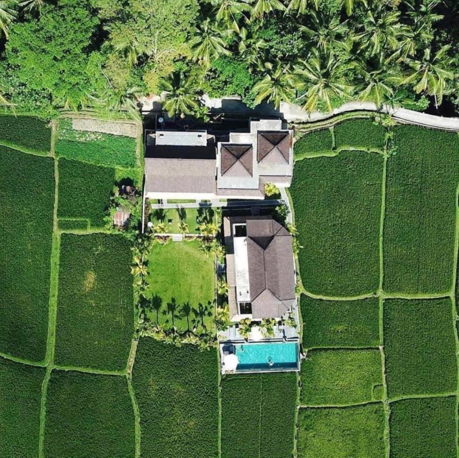 Intan Villa & Suite Ubud Экстерьер фото