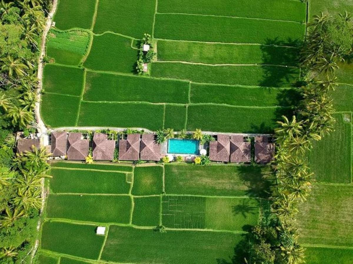 Intan Villa & Suite Ubud Экстерьер фото